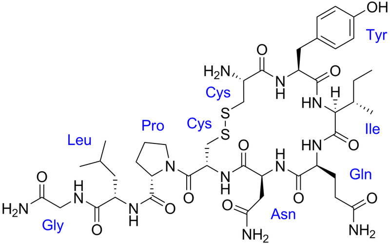 File:Oxytocin with labels.png