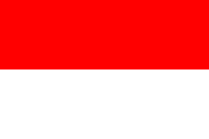 Indonesia flag.png.png