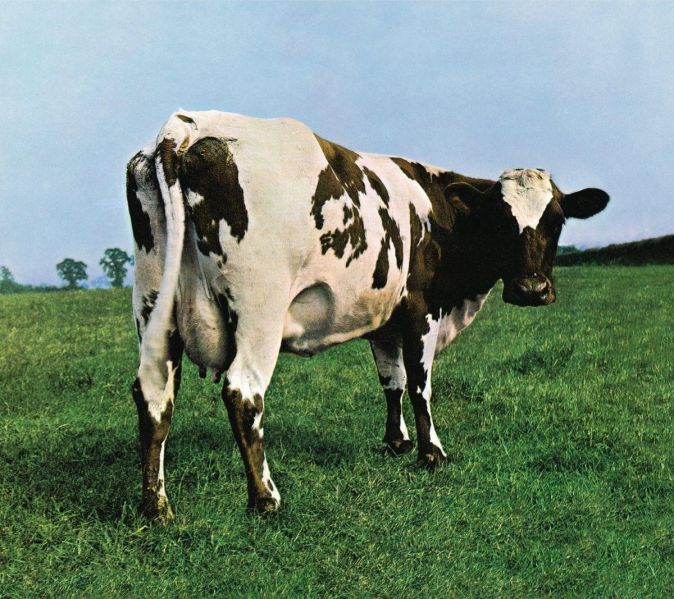 File:ThecowfromAtomHeartMother.jpg