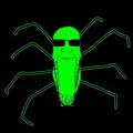 Glowie spider