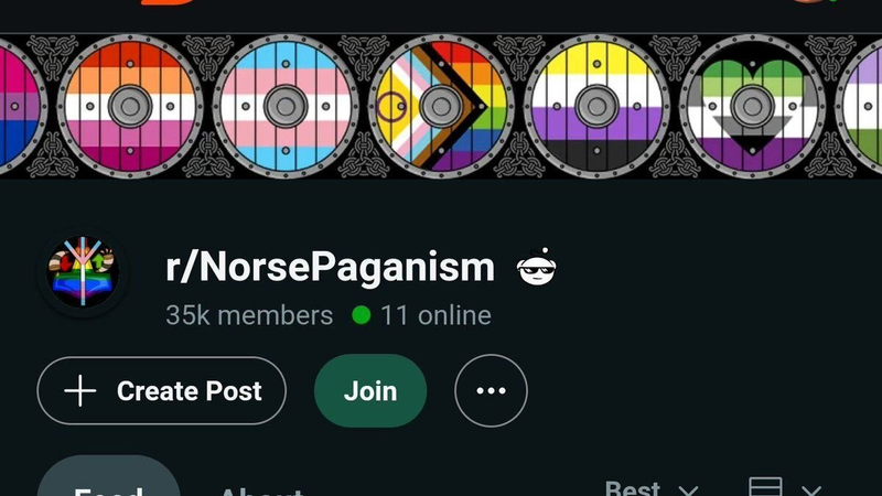 File:LarpingPaganFaggots.png
