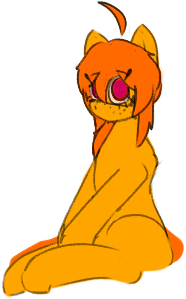 File:Coco pony.png