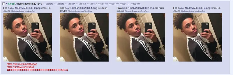 File:JamesTheGoo face.png