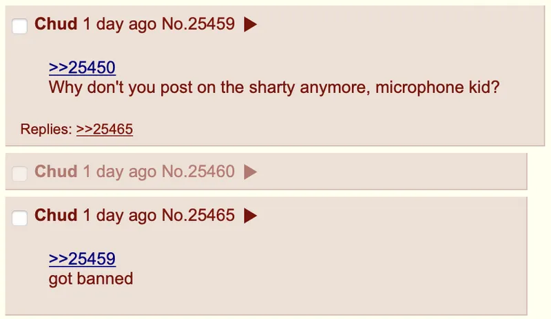 File:MicKidBanned.png