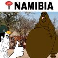 Namibian big belly nigger