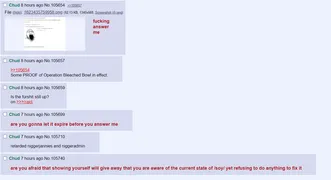 OBB truthers press the moderators and Soot (referred to here as niggerjannies and niggeradmin, respectively) on their moderation tactics. They received no response.