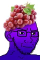 Thumbnail for version as of 11:41, 21 January 2023