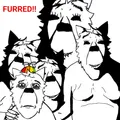 Thumbnail for version as of 12:52, 9 March 2025