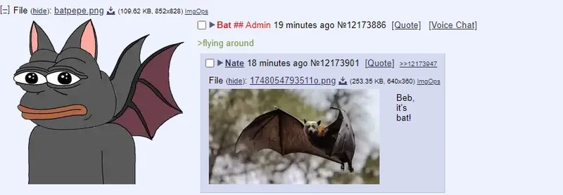 File:Bat3.jpg