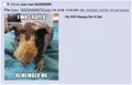 Thumbnail for version as of 01:43, 27 April 2023
