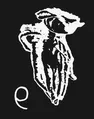 Thumbnail for version as of 17:30, 29 December 2022