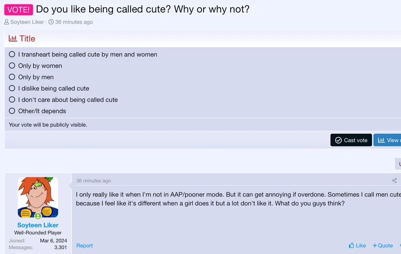 File:Average soyjak blog post 11.jpg