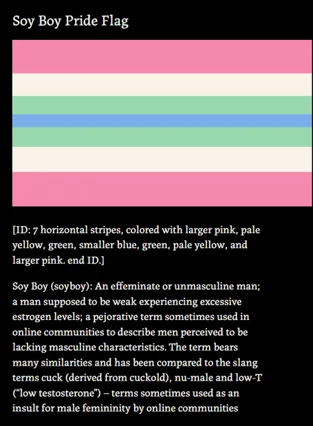 File:Soyboyflag.png
