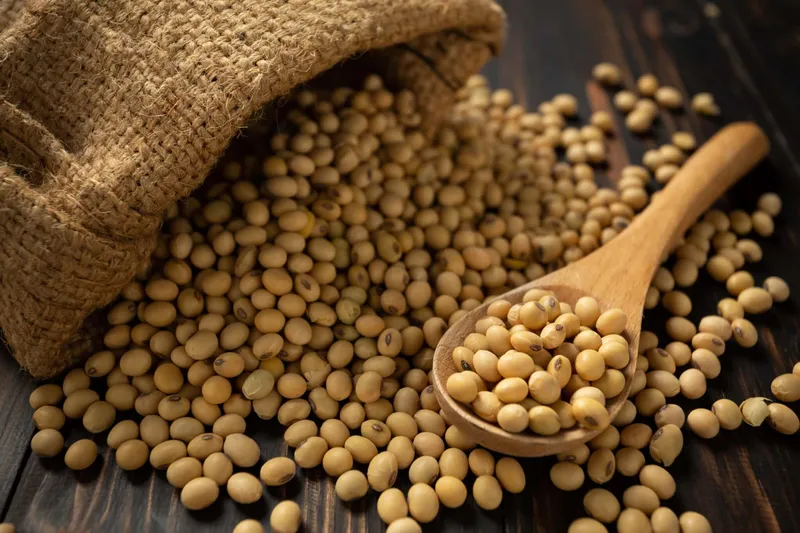 File:Soy.jpg