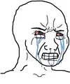 Crying Wojak. Can be used as a soyjak.