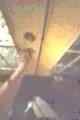 Brightened door shot from a video where xher "owns ze bigotted choods!!"