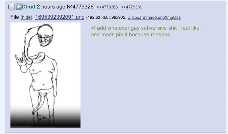 File:GaySubversiveShit.jpeg