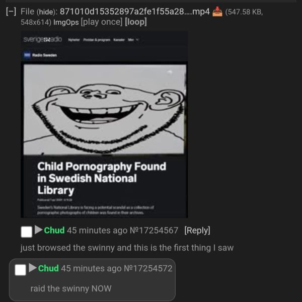 File:ChinnyFalseflag.jpg