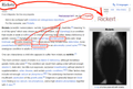 Thumbnail for version as of 07:08, 4 September 2026