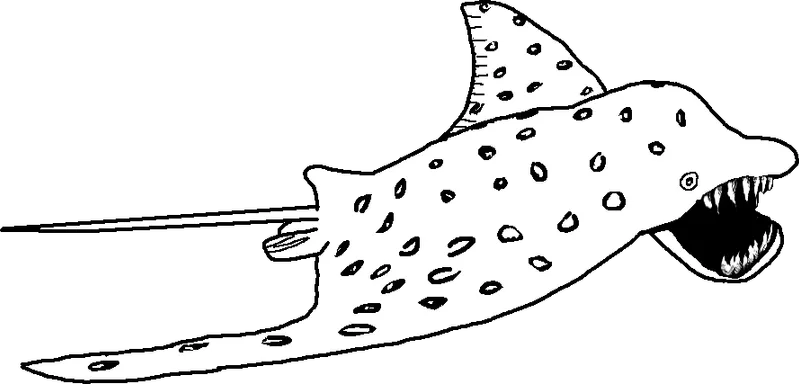 File:Dolphray.png