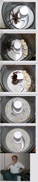 File:Spider milkshake.png