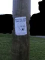 Pole