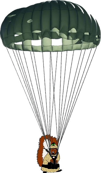 File:USMCchute.png