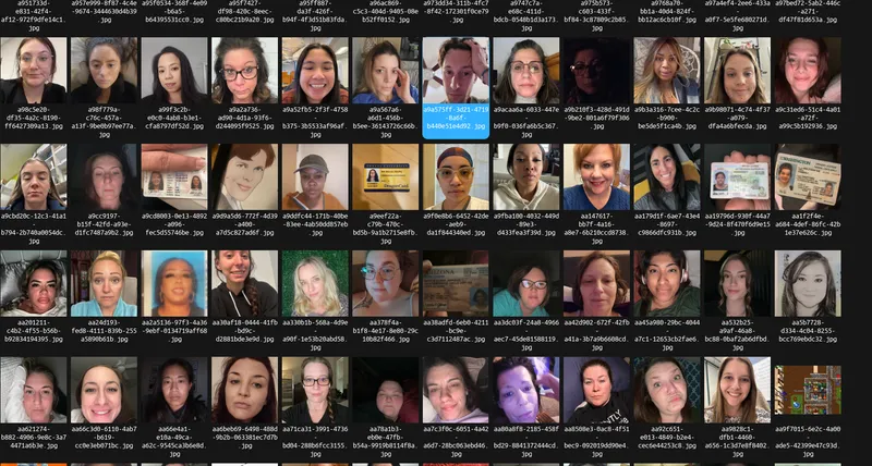 File:Tea app users.png
