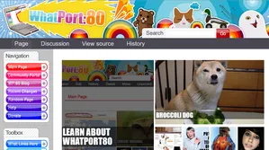 Main Page