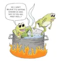 Boiling frog comics like this one were common to see during the Soysurgency.