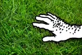 Thumbnail for version as of 14:08, 26 February 2023