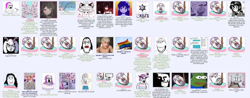File:Lgbt raid 2.png