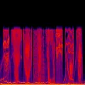 Thumbnail for version as of 11:28, 29 June 2024