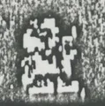 Thumbnail for version as of 11:50, 12 August 2024