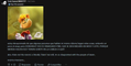 Thumbnail for version as of 22:09, 23 August 2026