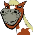 As an American Paint Horse of the Tobaino pattern