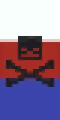 Chudlandia's banner