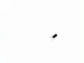 Thumbnail for version as of 15:35, 29 August 2024