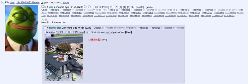 File:Frogfail tranny.PNG