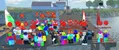 The ColorGODs line up for a group photo after BTFO'ing the Bluecacas.
