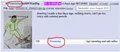 More furcoal autism