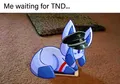 Svvn...
