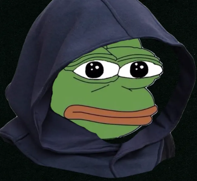 File:Hood pepe.png