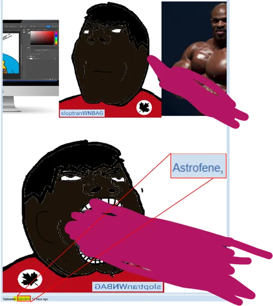 File:Astrofene's fetishes.png