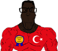 Thumbnail for version as of 18:47, 20 September 2026