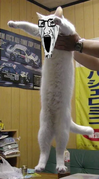 File:Soycat is sooooooooy.png