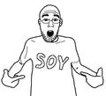 Thumbnail for version as of 07:22, 24 March 2023