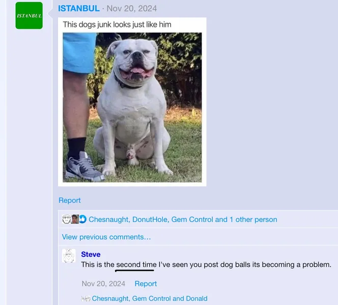 File:Average soyjak blog post 10.jpg