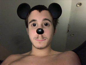 Mickeyaryan.png