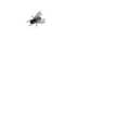 Thumbnail for version as of 21:34, 29 July 2025